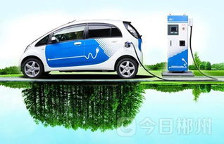 郴州正式启用新能源汽车专用号牌，助推绿色出行新风尚