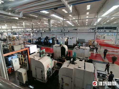 链长 赋能 昌邑市推动 链主 企业高质量发展